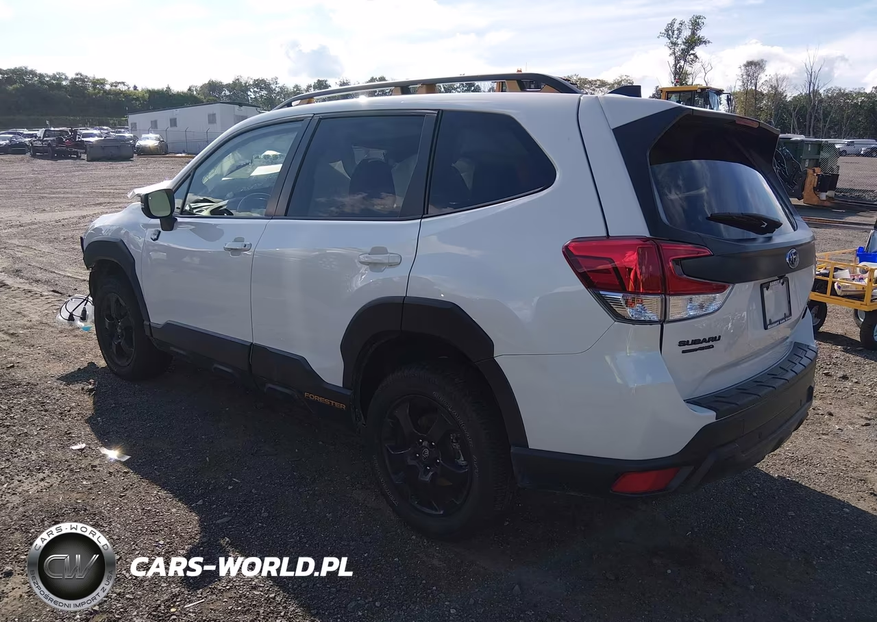 2025 Subaru Forester Wilderness VIN:JF2SKAJC4SH407200 - 3