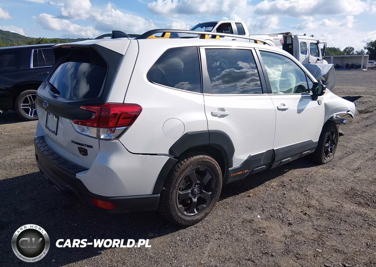 2025 Subaru Forester Wilderness VIN:JF2SKAJC4SH407200 - 4