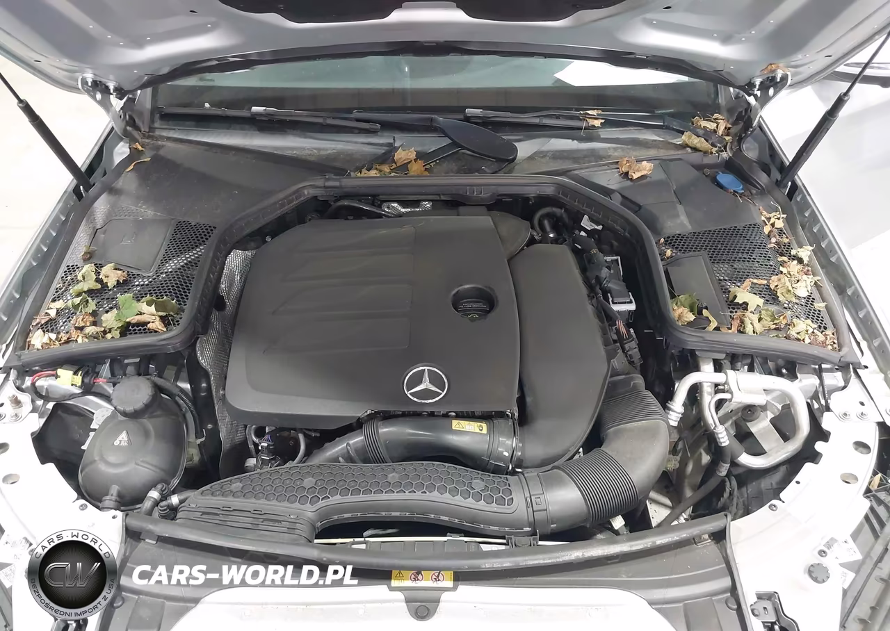 2020 Mercedes-Benz C 300 4Matic VIN:55SWF8EB6LU324902 - 10