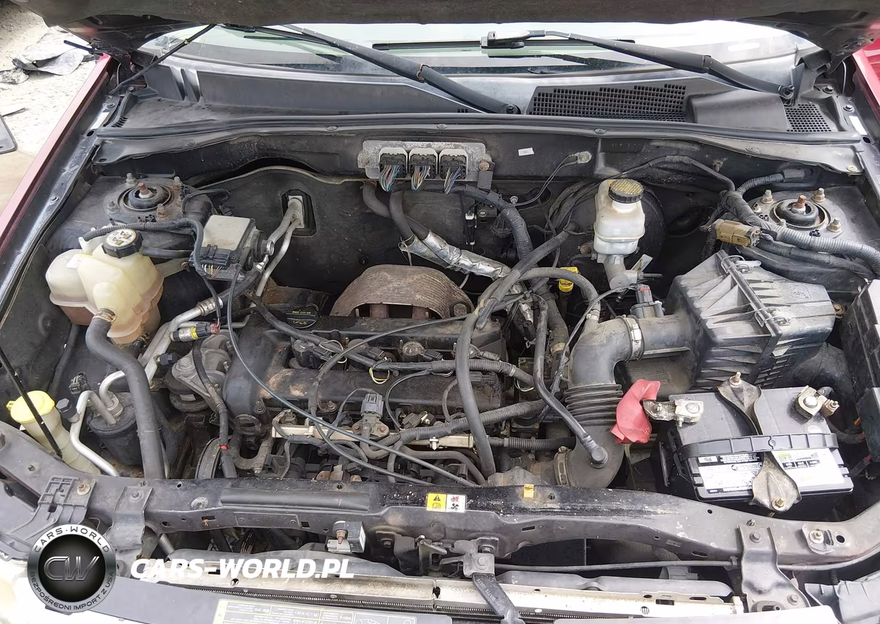 2008 Ford Escape Xlt VIN:1FMCU03Z78KC46034 - 10