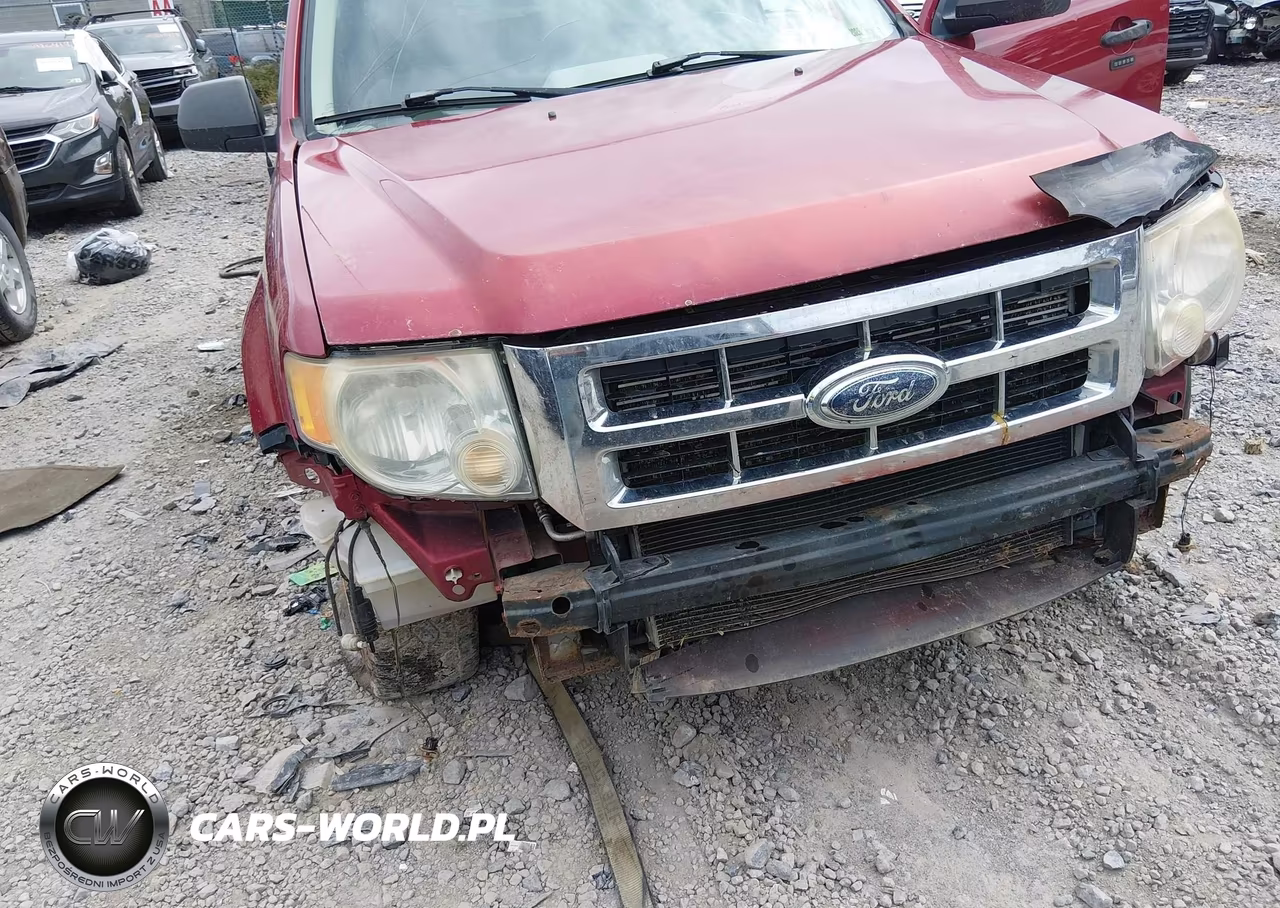 2008 Ford Escape Xlt VIN:1FMCU03Z78KC46034 - 6