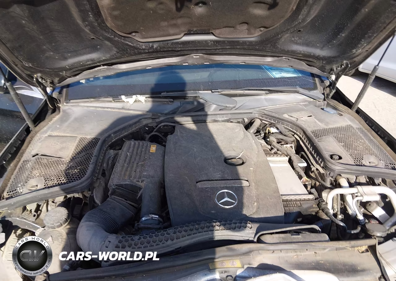 2018 Mercedes-Benz C 300 VIN:55SWF4JB9JU251732 - 10