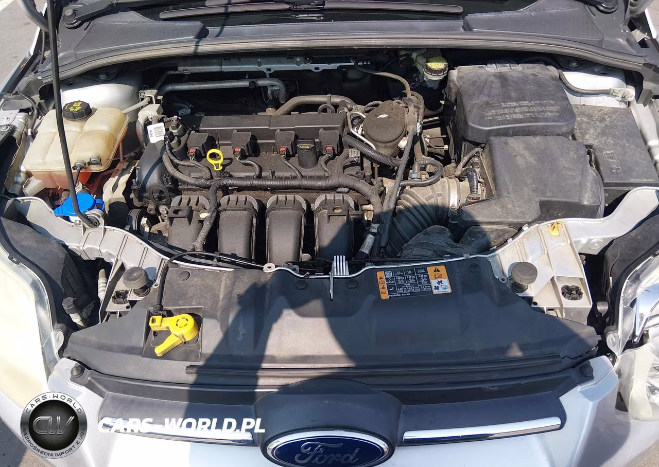 2014 Ford Focus Se VIN:1FADP3F20EL421770 - 10