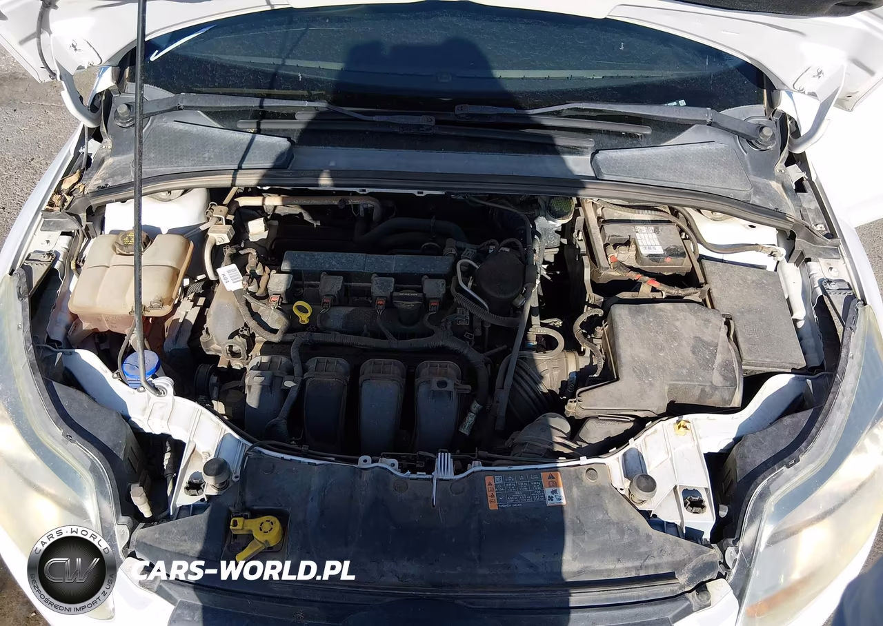 2014 Ford Focus Se VIN:1FADP3F22EL383345 - 10