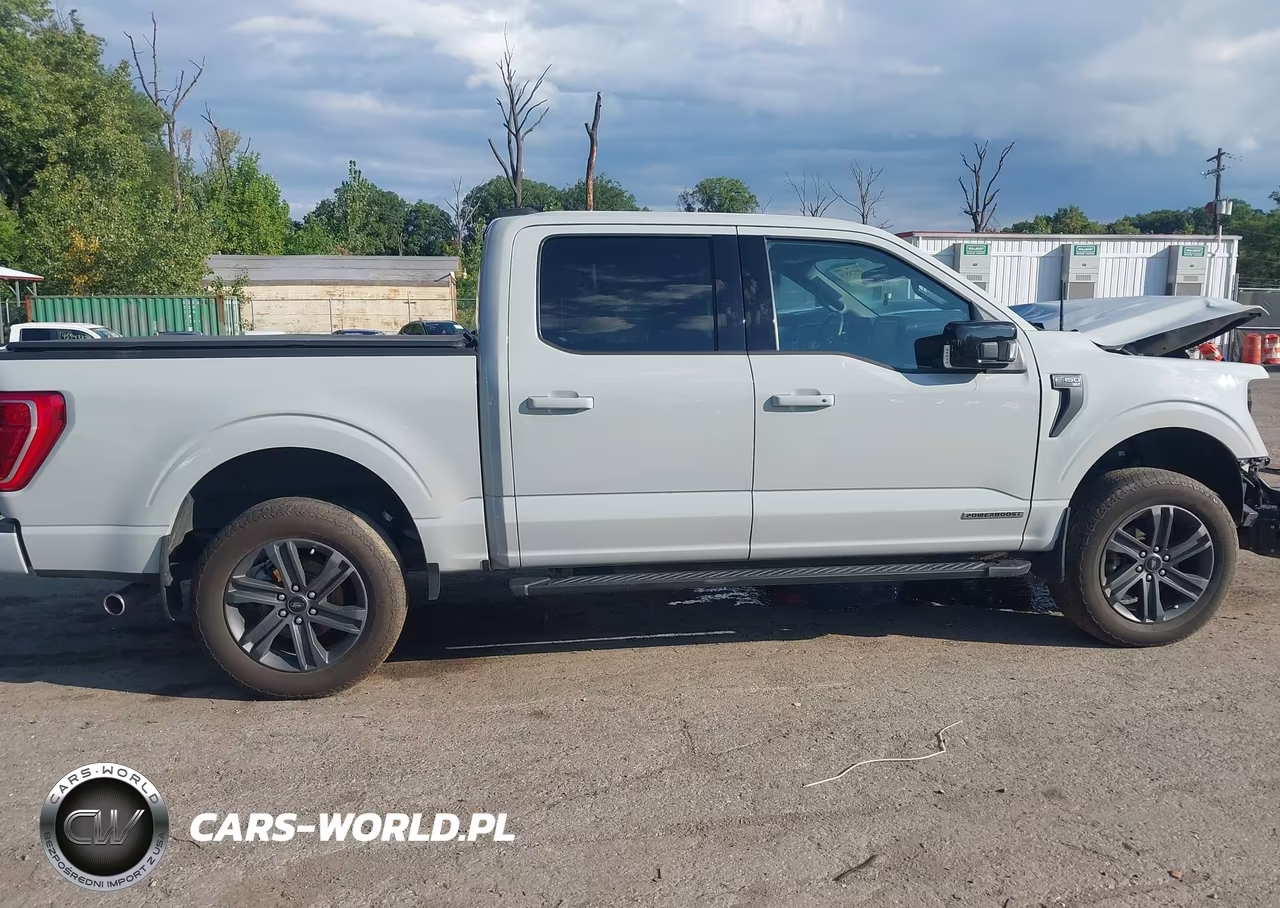 2023 Ford F-150 Xlt VIN:1FTFW1ED2PFC66296 - 14