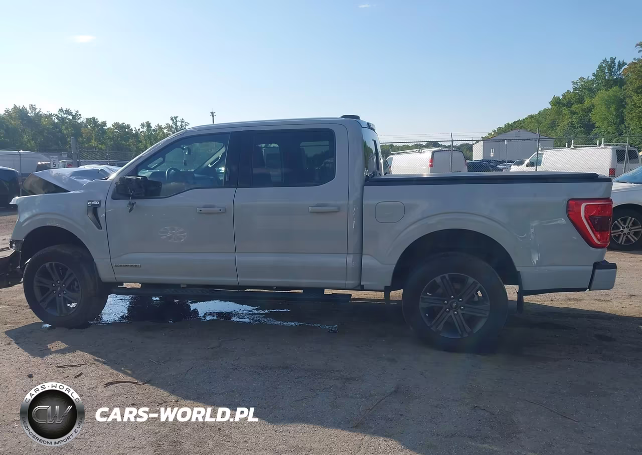2023 Ford F-150 Xlt VIN:1FTFW1ED2PFC66296 - 15