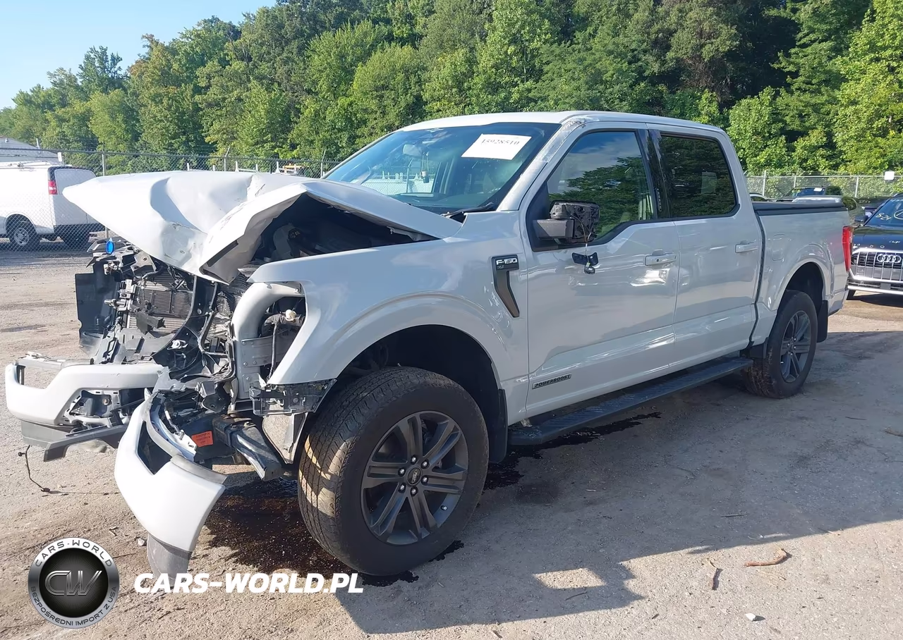 2023 Ford F-150 Xlt VIN:1FTFW1ED2PFC66296 - 2