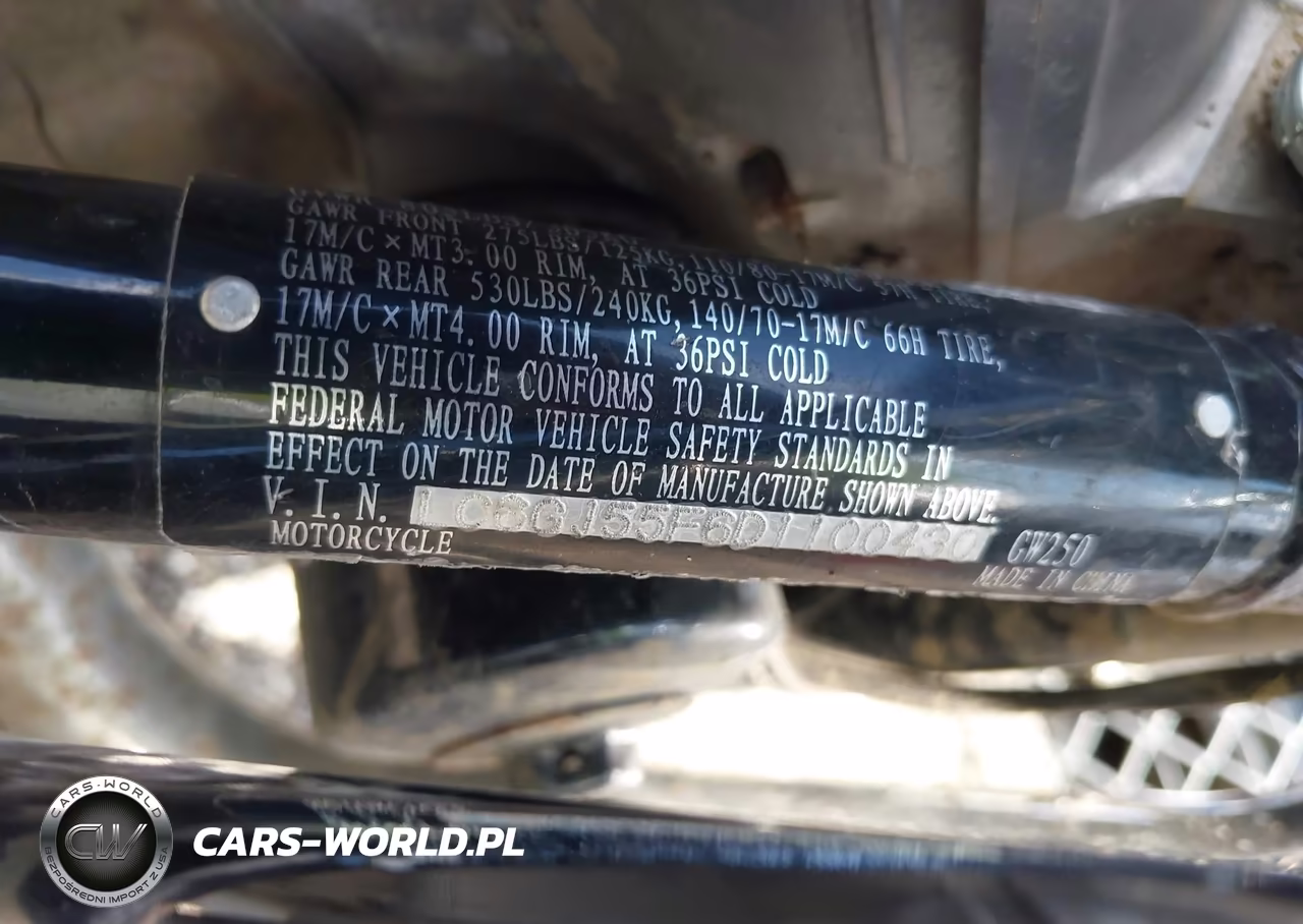 2013 Suzuki Gw250 VIN:LC6GJ55F6D1100430 - 10