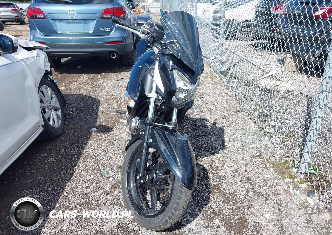 2013 Suzuki Gw250 VIN:LC6GJ55F6D1100430 - 5