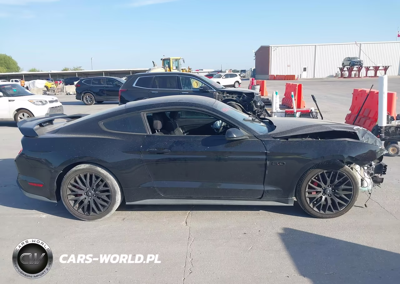 2019 Ford Mustang Gt VIN:1FA6P8CF0K5168169 - 14