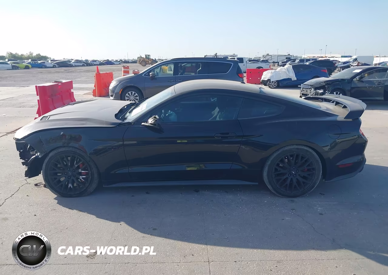 2019 Ford Mustang Gt VIN:1FA6P8CF0K5168169 - 15