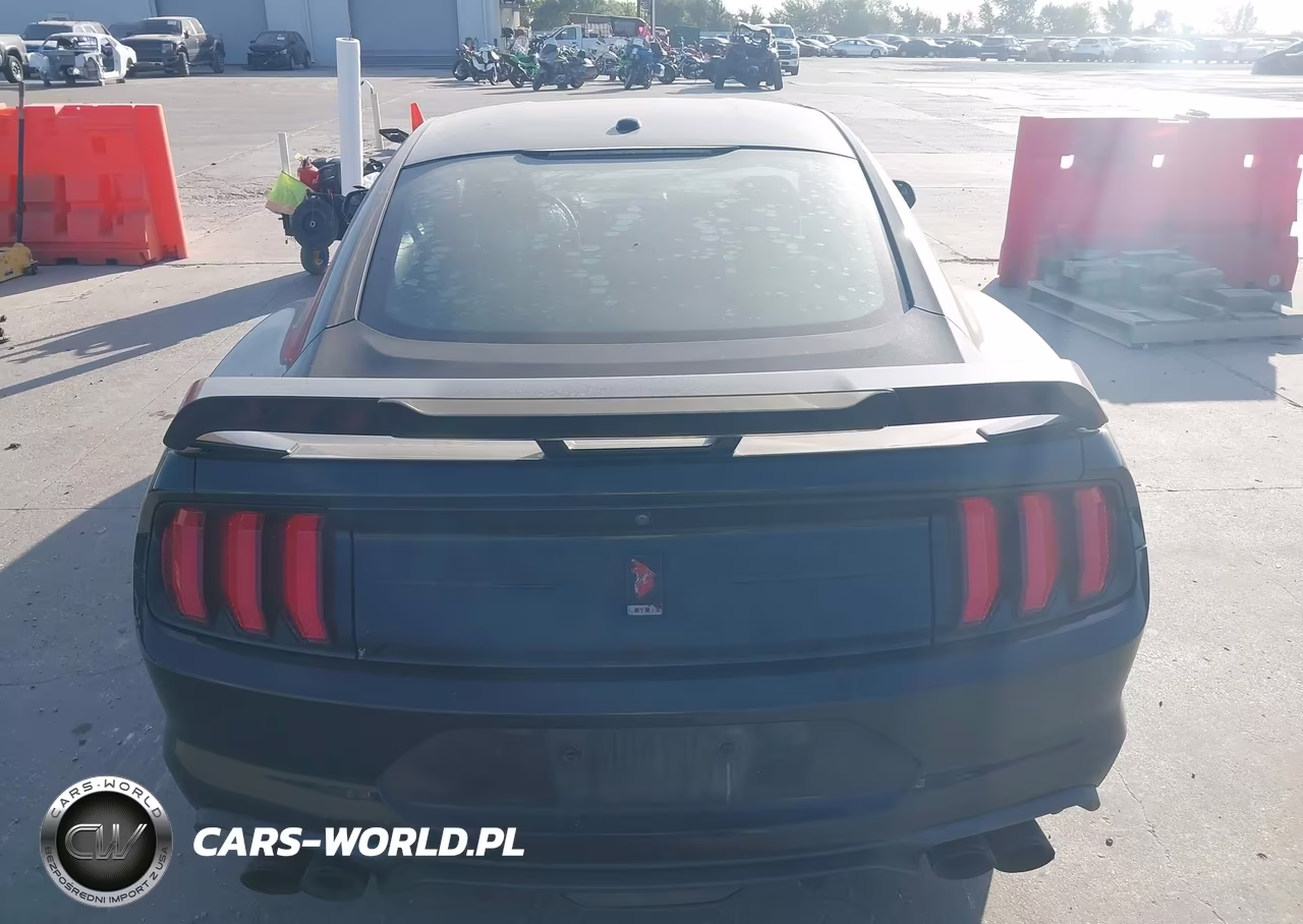 2019 Ford Mustang Gt VIN:1FA6P8CF0K5168169 - 17