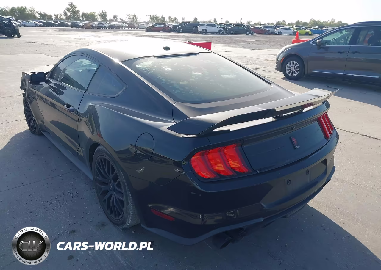 2019 Ford Mustang Gt VIN:1FA6P8CF0K5168169 - 3