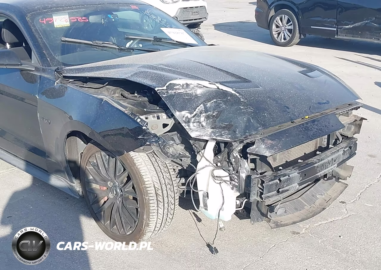 2019 Ford Mustang Gt VIN:1FA6P8CF0K5168169 - 6