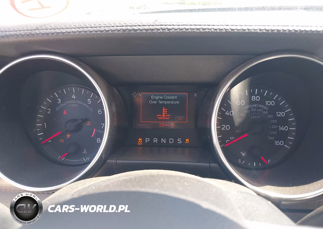 2019 Ford Mustang Gt VIN:1FA6P8CF0K5168169 - 7