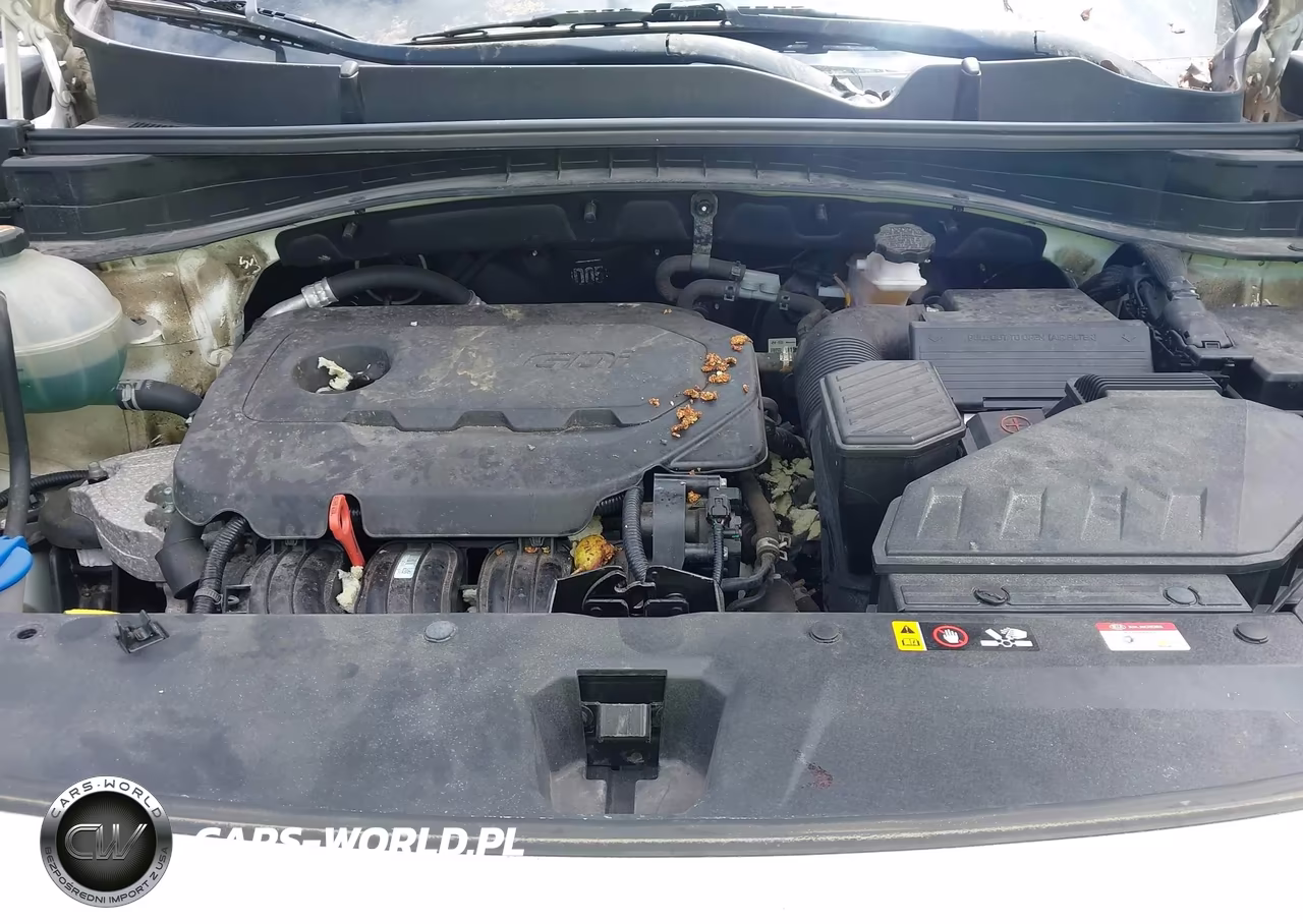 2020 Kia Sportage Lx VIN:KNDPMCAC1L7726409 - 10