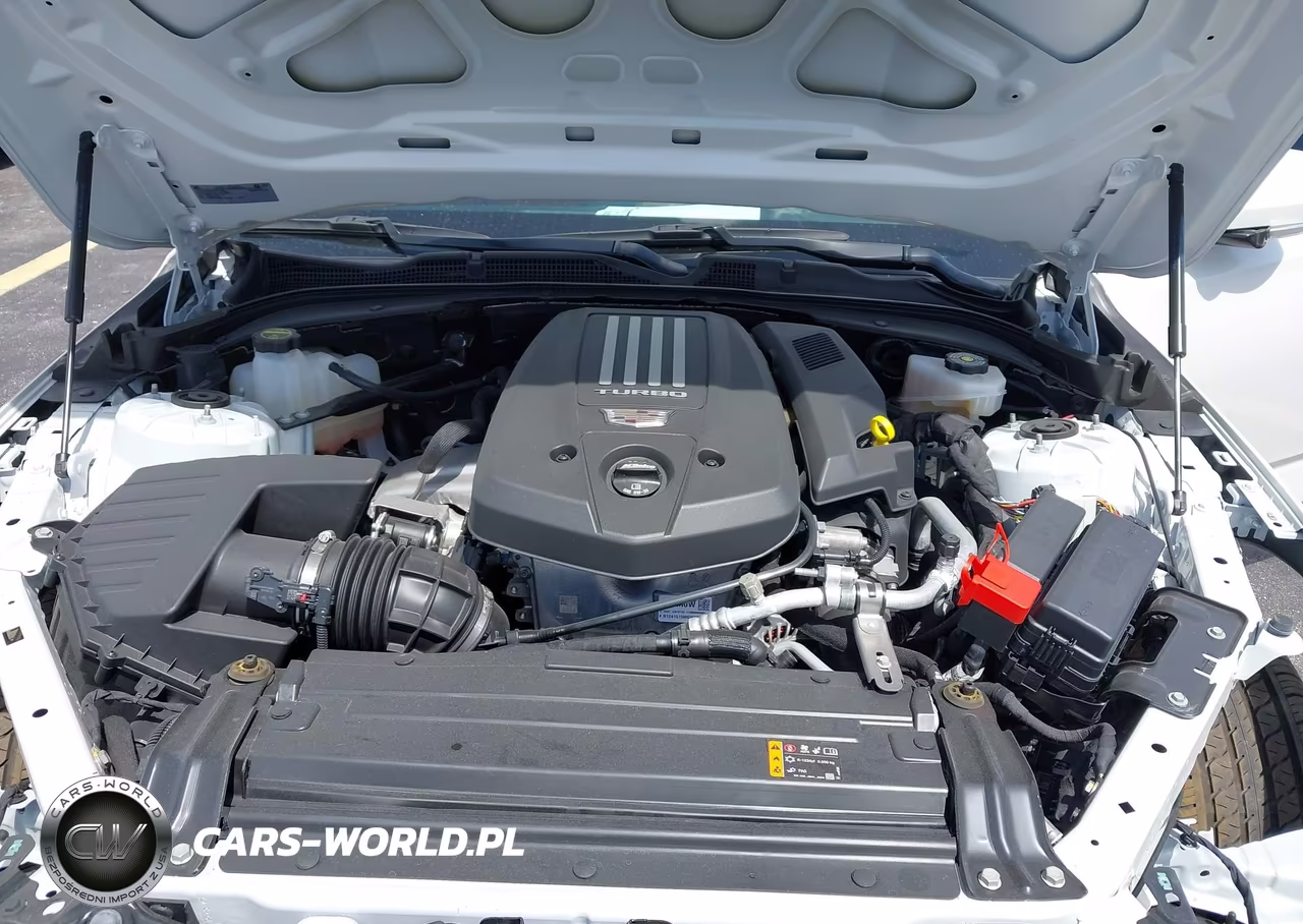 2025 Cadillac Ct4 Premium Luxury Rwd VIN:1G6DB5RLXS0110663 - 10