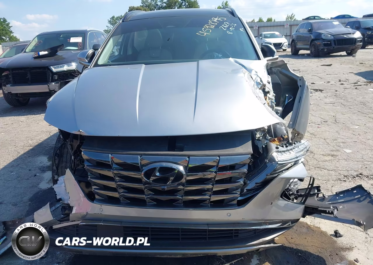 2024 Hyundai Tucson Limited VIN:5NMJE3DE5RH385436 - 12