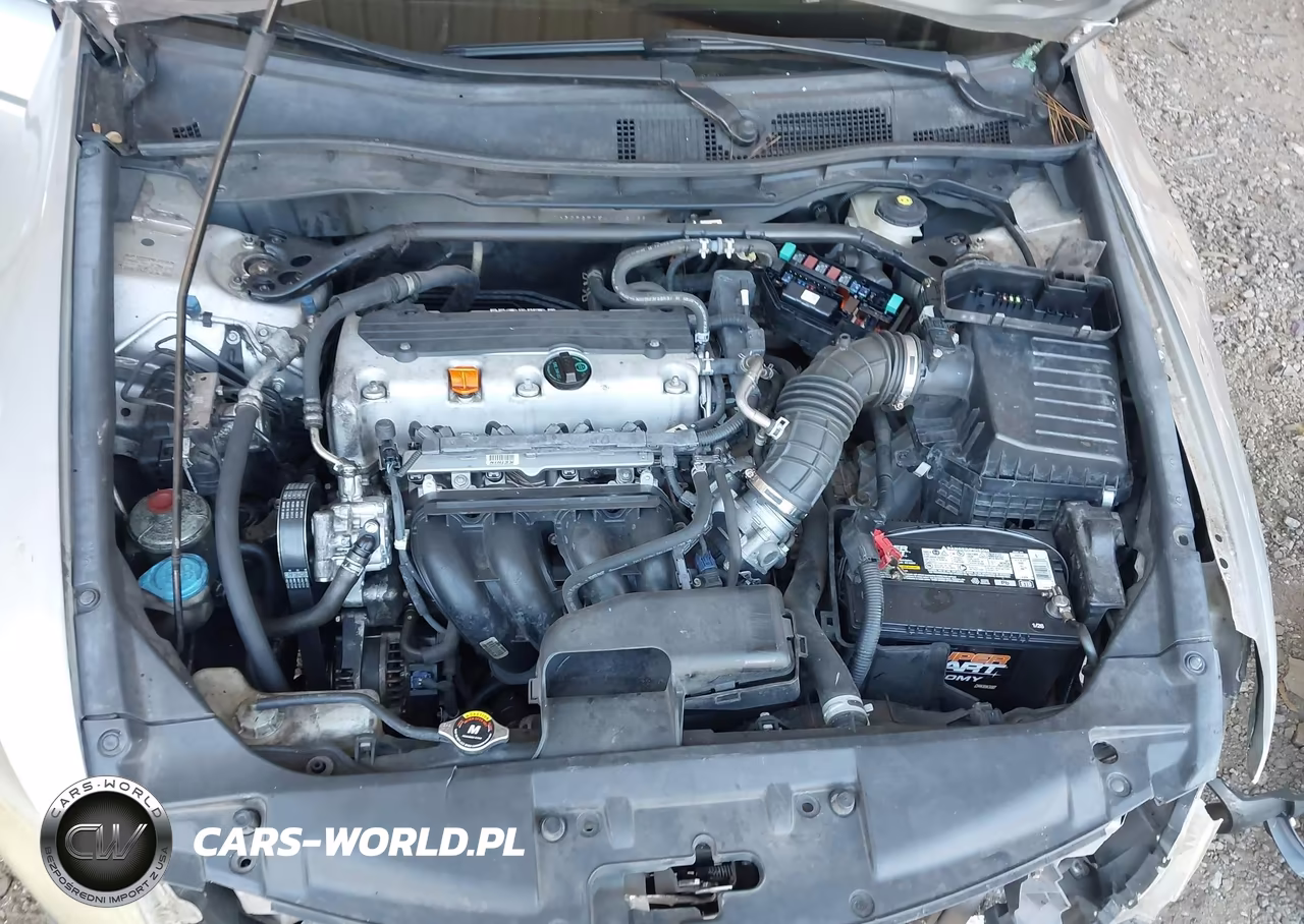 2010 Honda Accord 2.4 Ex VIN:1HGCP2F75AA112038 - 10
