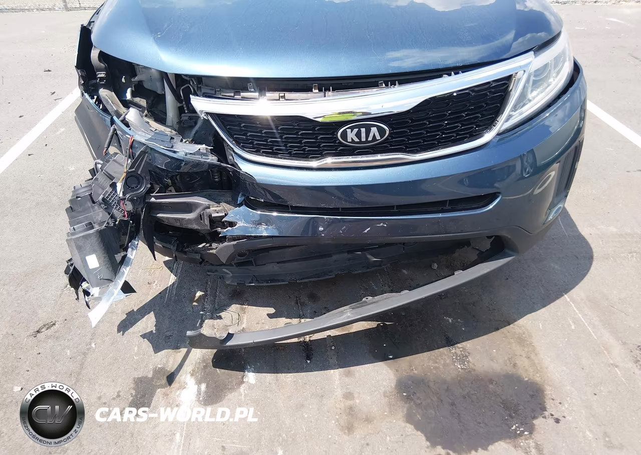 2014 Kia Sorento Lx VIN:5XYKT3A63EG429607 - 6