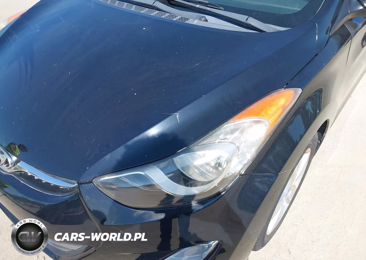 2013 Hyundai Elantra Gls VIN:5NPDH4AE5DH321830 - 12