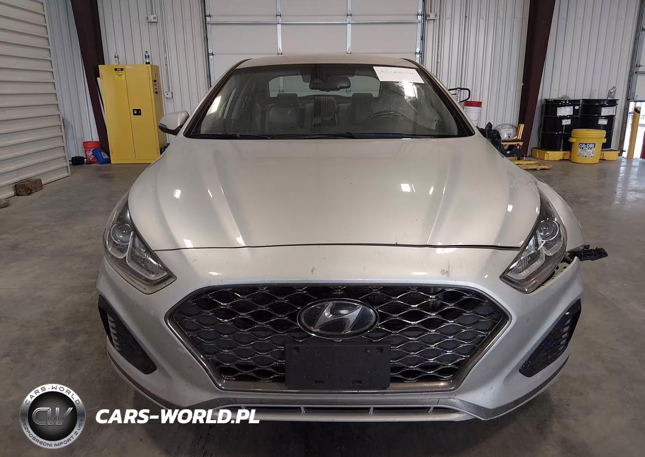 2019 Hyundai Sonata Sel VIN:5NPE34AF7KH743414 - 13