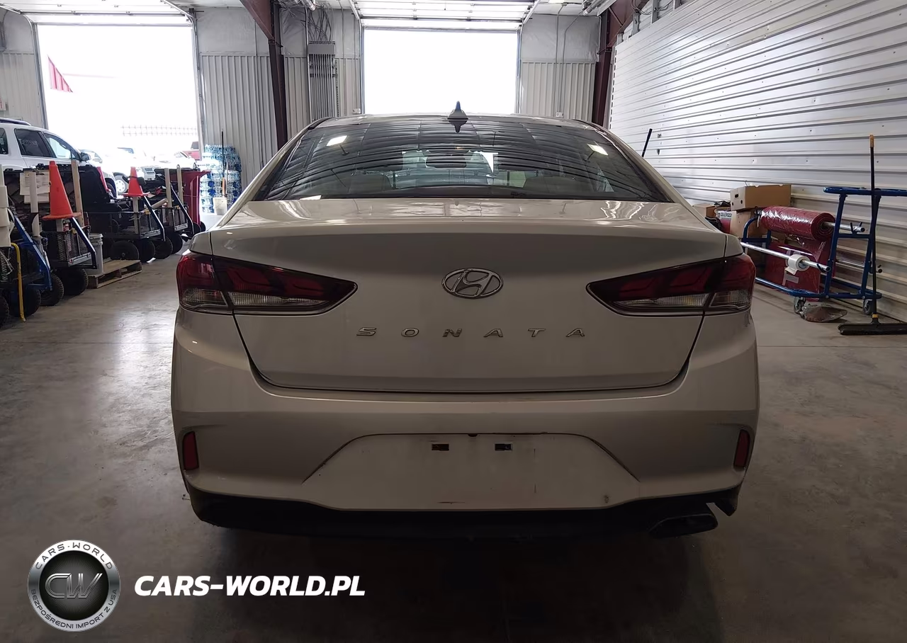 2019 Hyundai Sonata Sel VIN:5NPE34AF7KH743414 - 17
