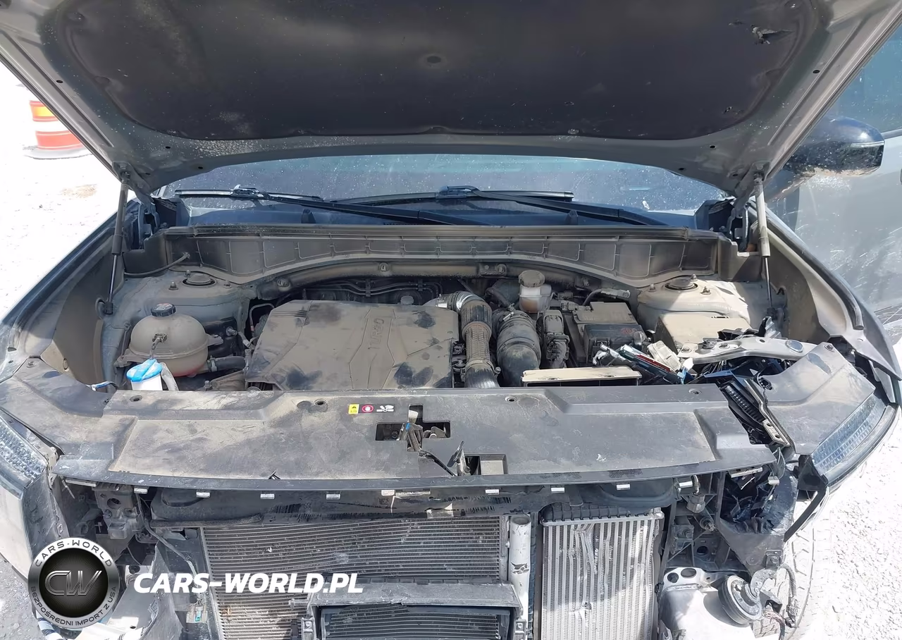 2024 Hyundai Santa Fe Xrt VIN:5NMP3DGL0RH007086 - 10