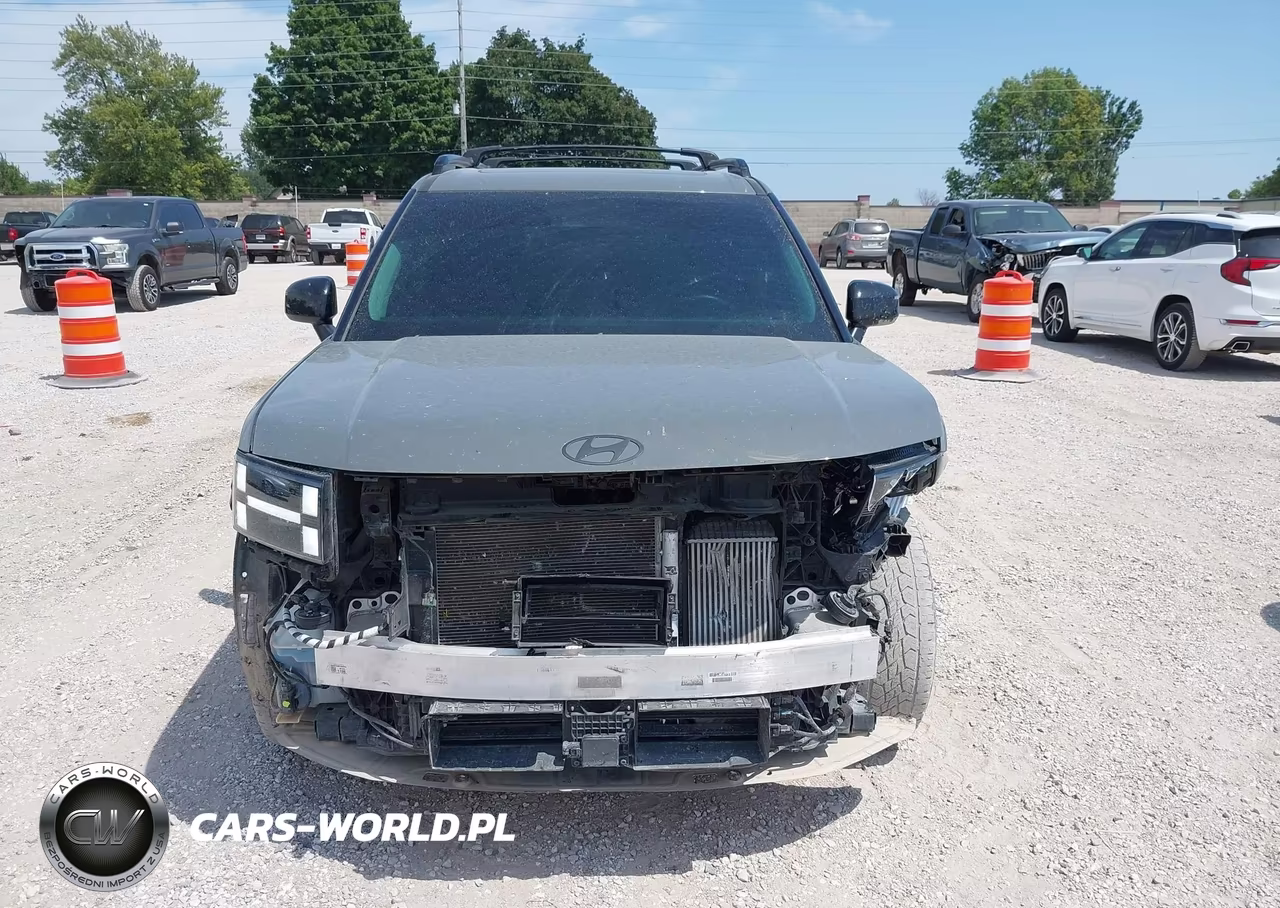 2024 Hyundai Santa Fe Xrt VIN:5NMP3DGL0RH007086 - 13
