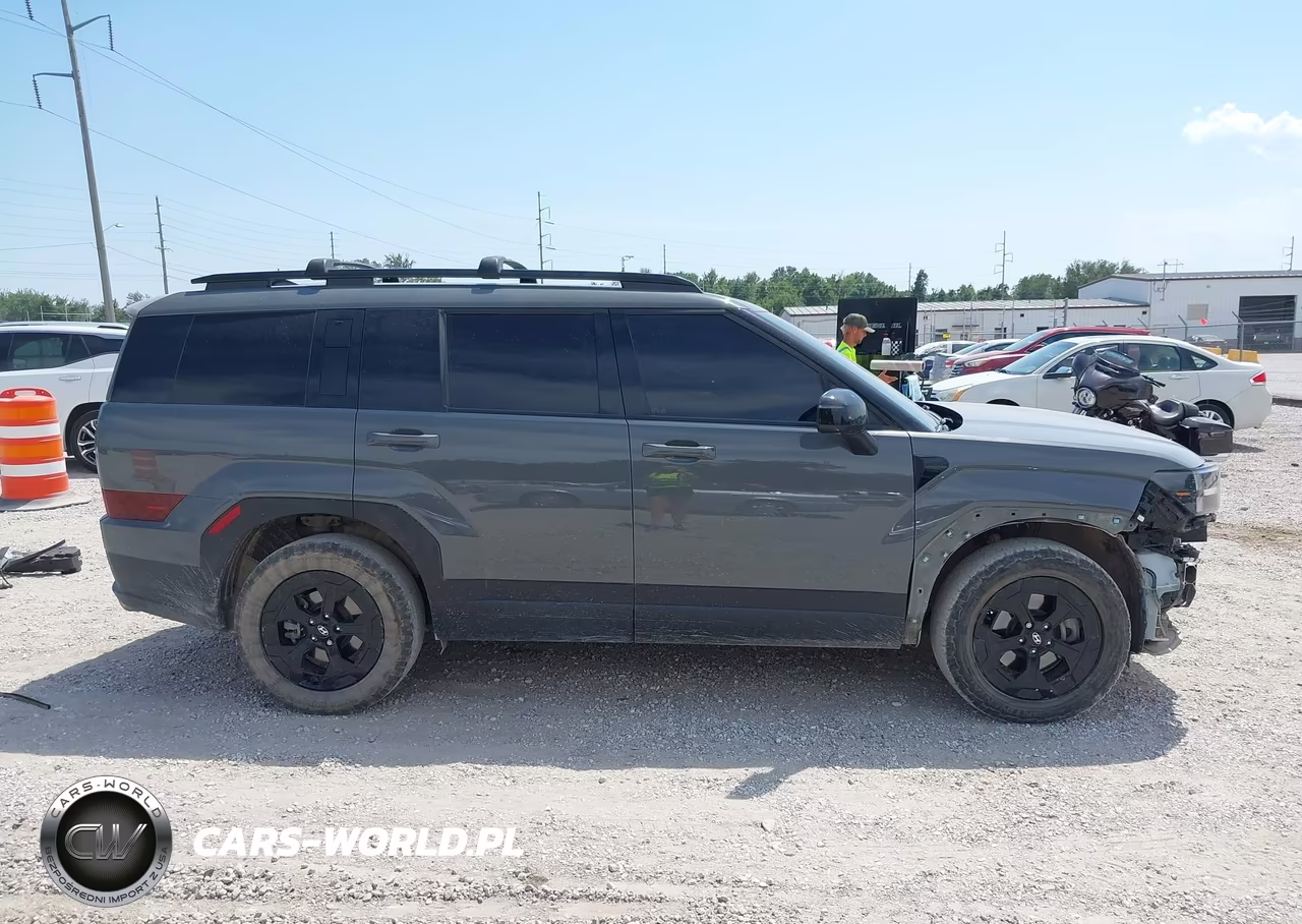 2024 Hyundai Santa Fe Xrt VIN:5NMP3DGL0RH007086 - 14