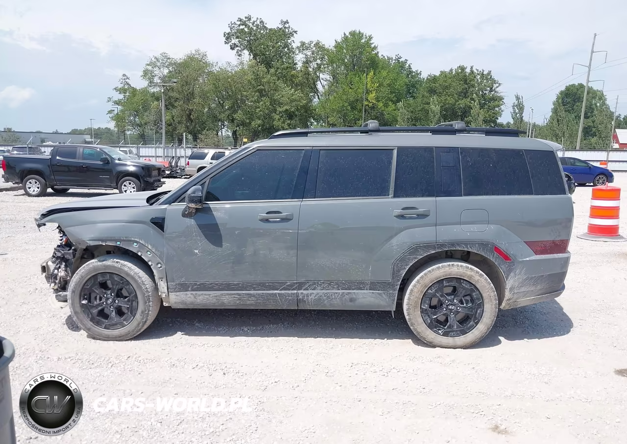 2024 Hyundai Santa Fe Xrt VIN:5NMP3DGL0RH007086 - 15
