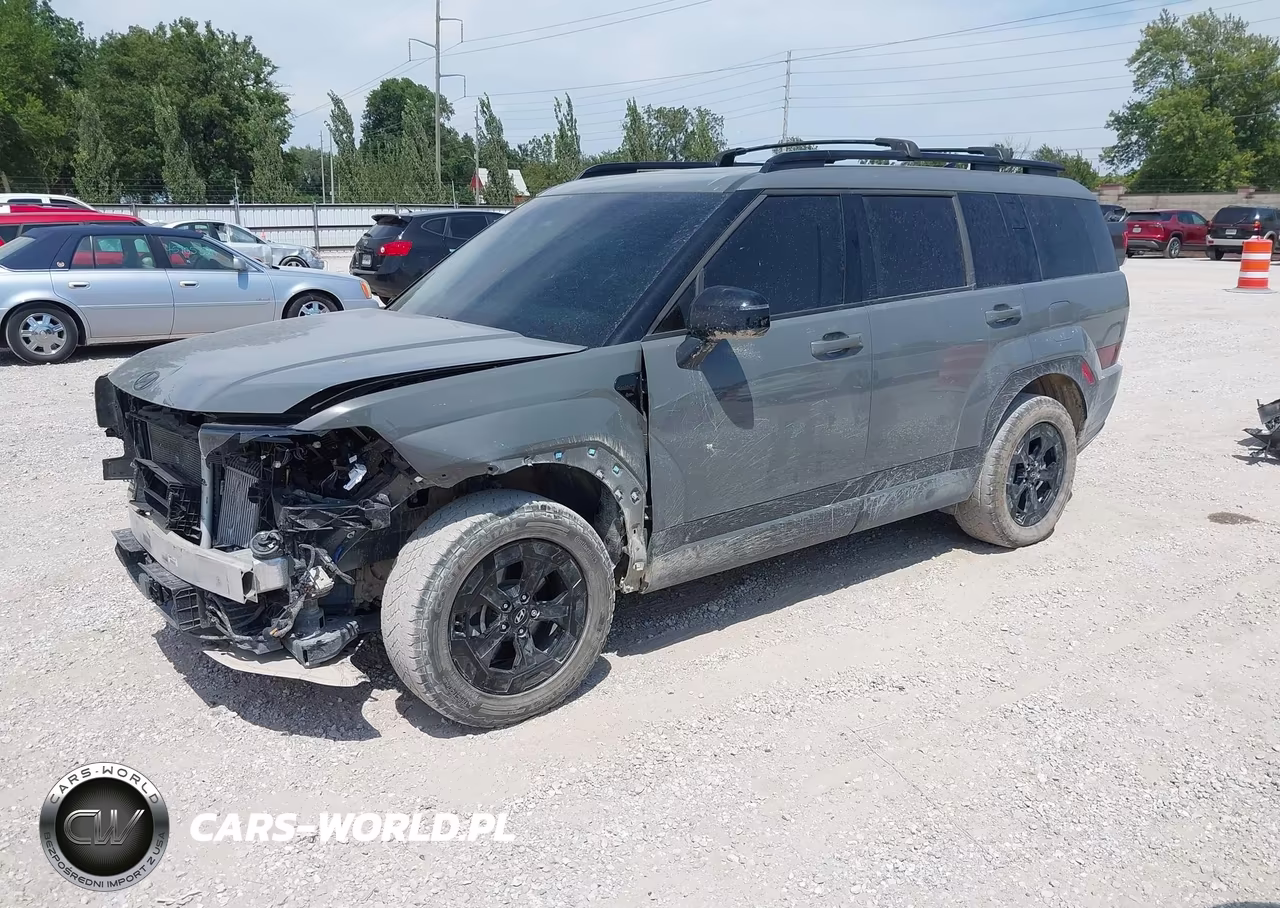 2024 Hyundai Santa Fe Xrt VIN:5NMP3DGL0RH007086 - 2