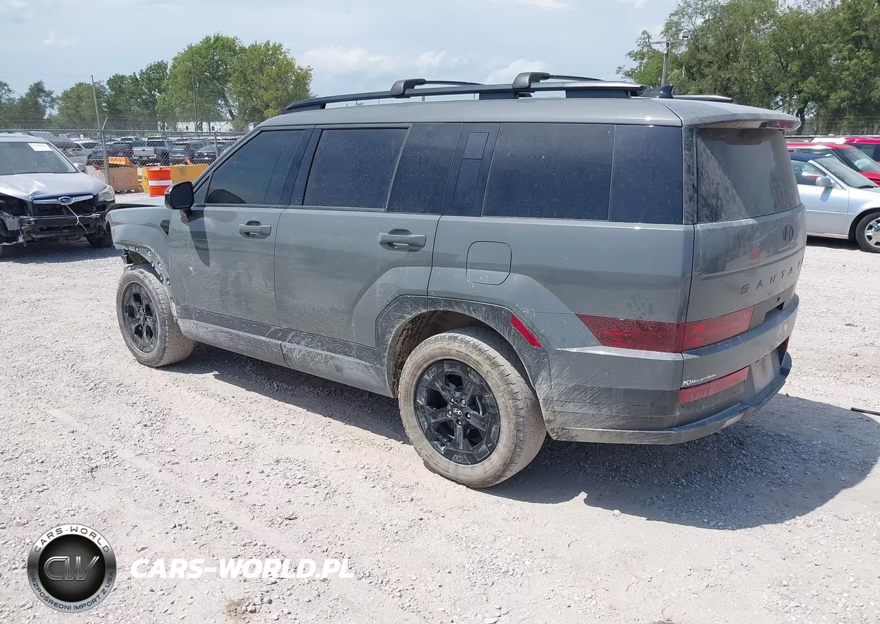 2024 Hyundai Santa Fe Xrt VIN:5NMP3DGL0RH007086 - 3