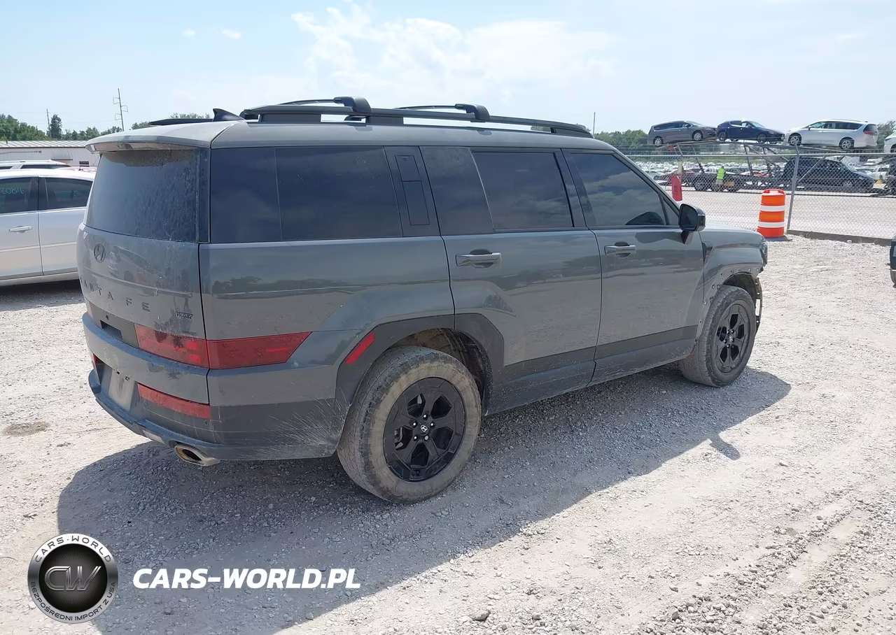 2024 Hyundai Santa Fe Xrt VIN:5NMP3DGL0RH007086 - 4