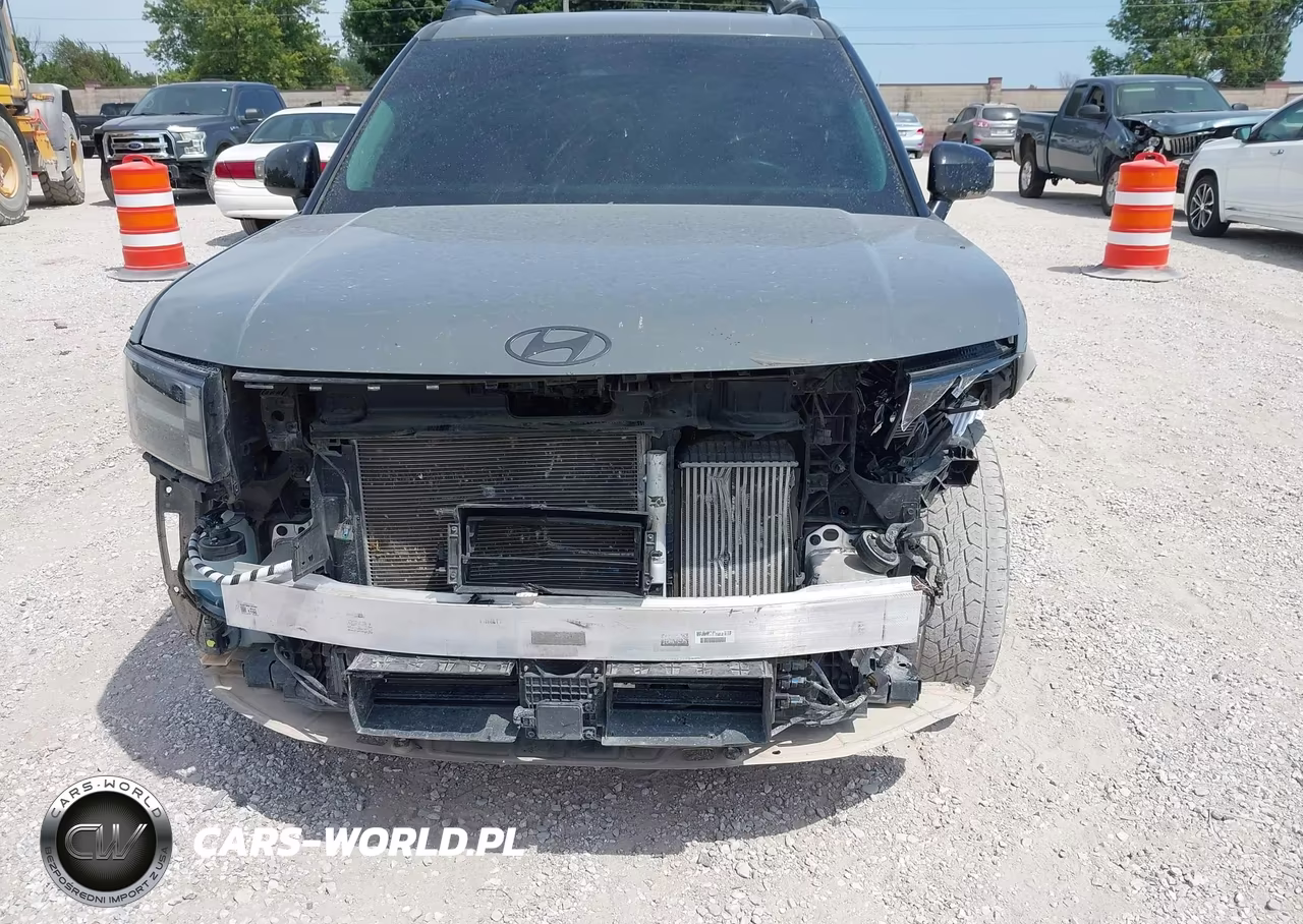 2024 Hyundai Santa Fe Xrt VIN:5NMP3DGL0RH007086 - 6