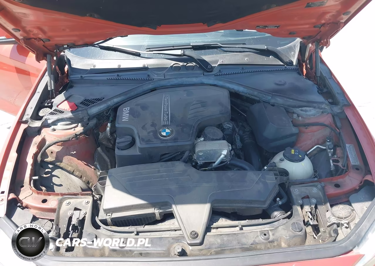 2015 BMW 228 VIN:WBA1F5C59FV257061 - 10