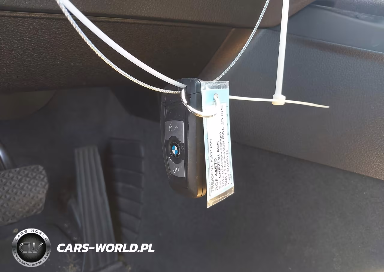 2015 BMW 228 VIN:WBA1F5C59FV257061 - 11