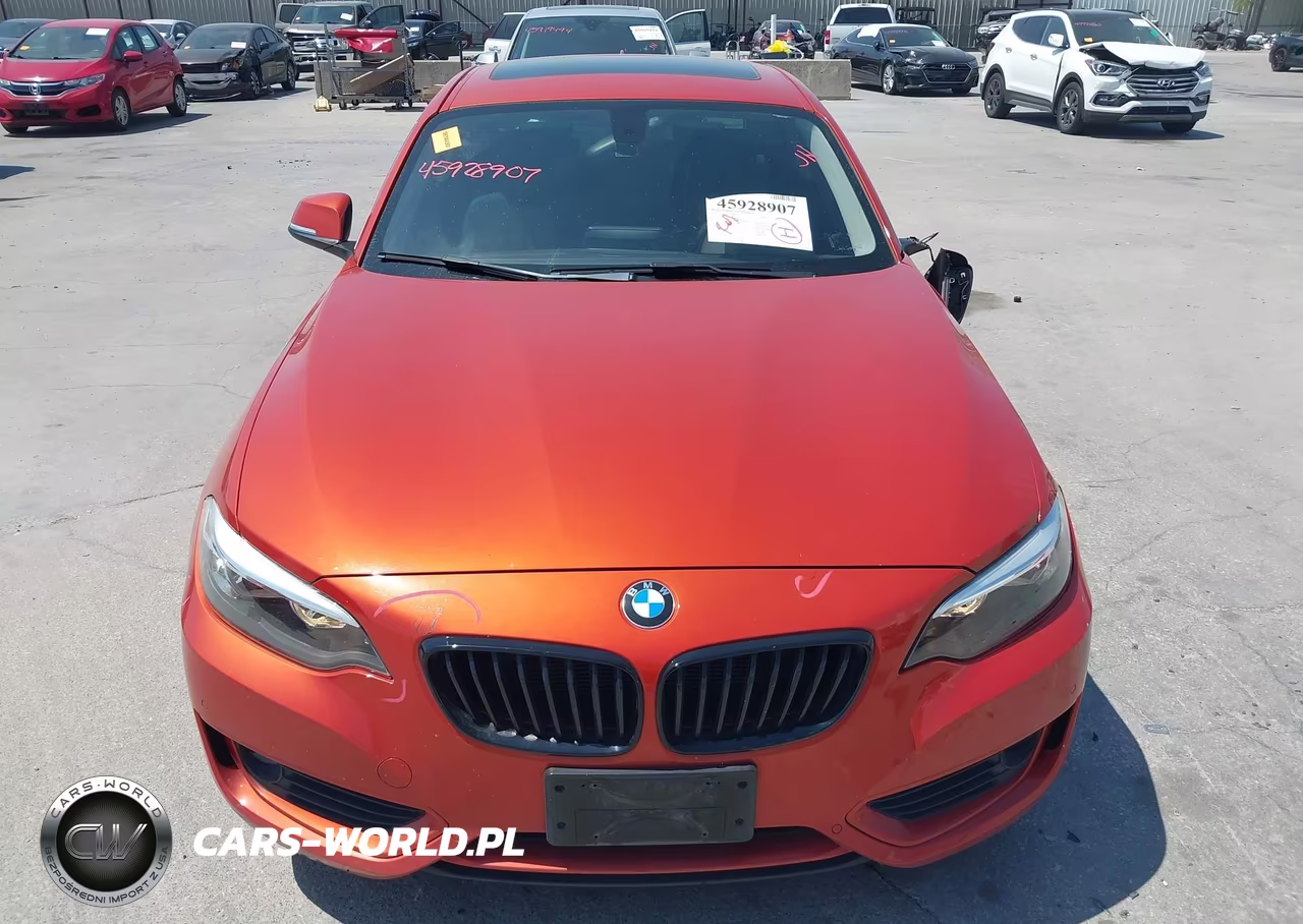 2015 BMW 228 VIN:WBA1F5C59FV257061 - 12