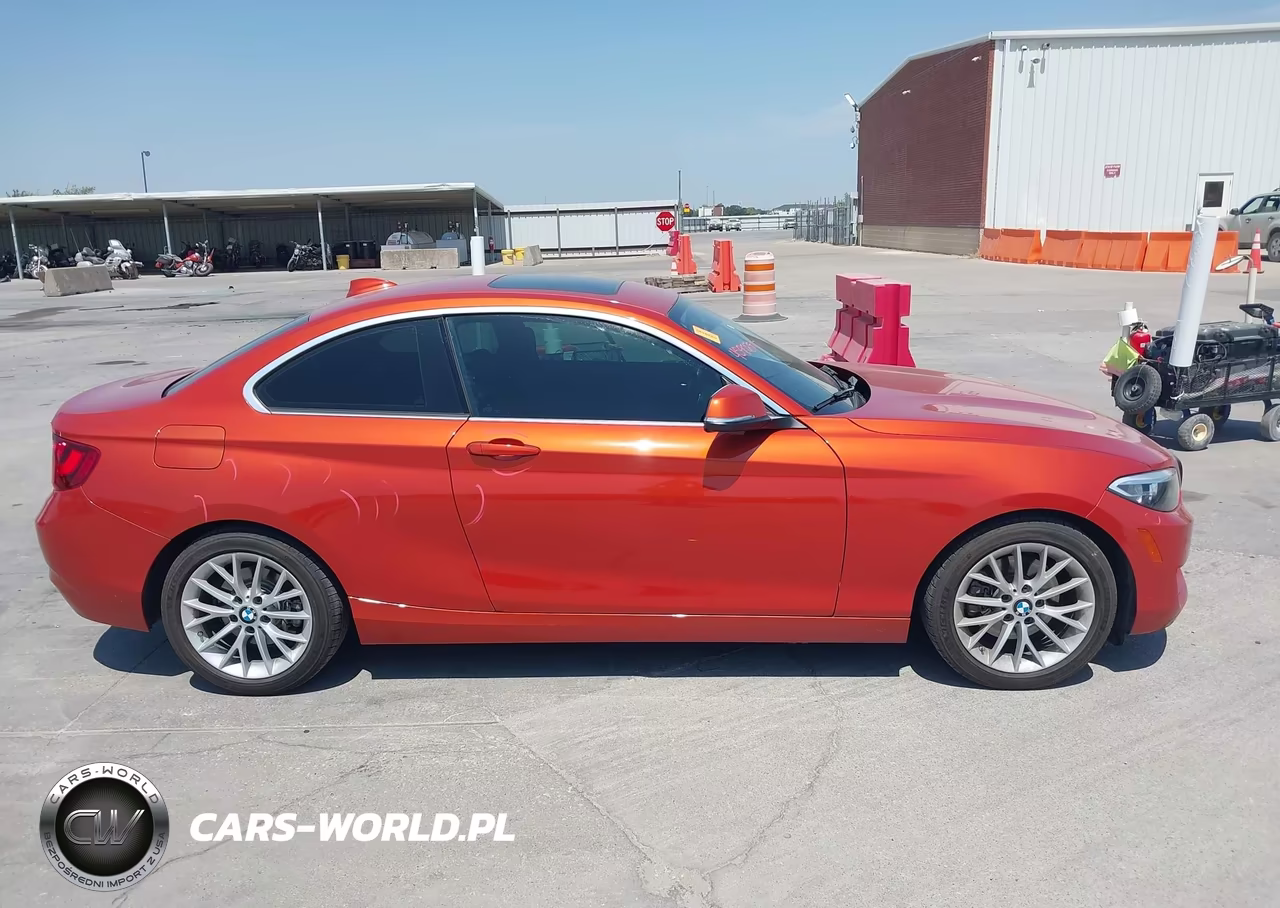 2015 BMW 228 VIN:WBA1F5C59FV257061 - 13