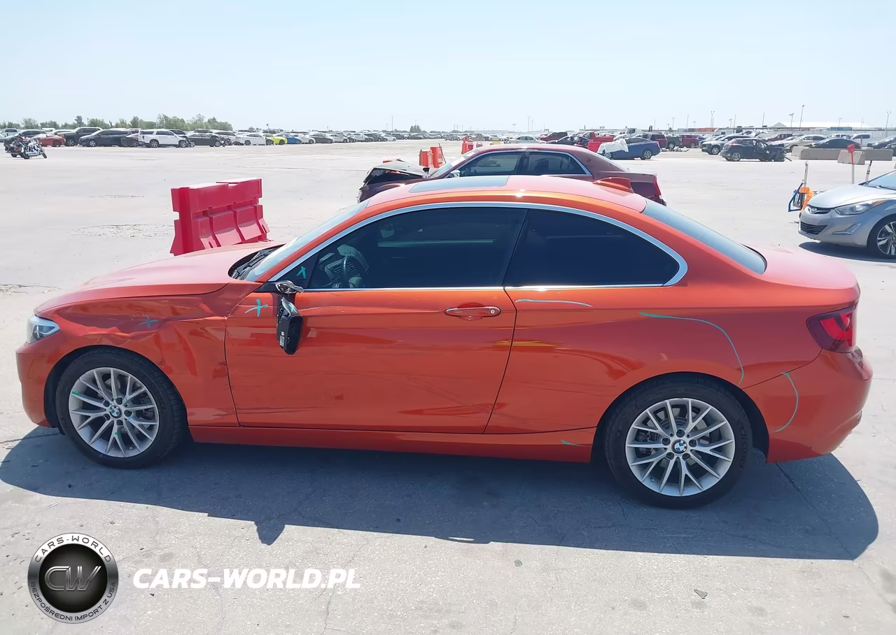 2015 BMW 228 VIN:WBA1F5C59FV257061 - 14