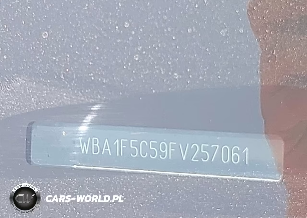 2015 BMW 228 VIN:WBA1F5C59FV257061 - 17