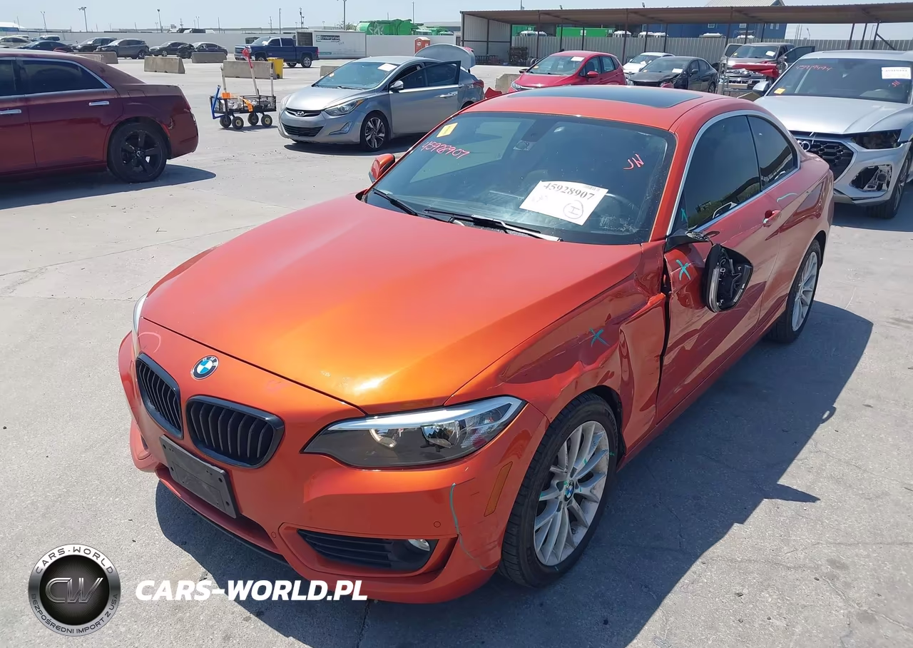 2015 BMW 228 VIN:WBA1F5C59FV257061 - 2