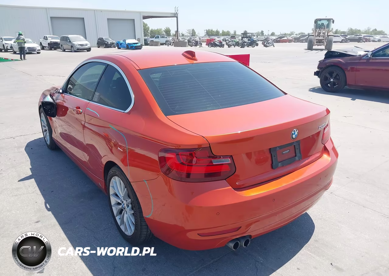 2015 BMW 228 VIN:WBA1F5C59FV257061 - 3