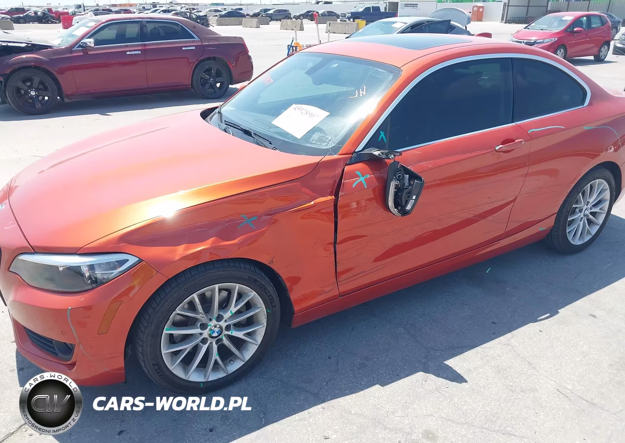 2015 BMW 228 VIN:WBA1F5C59FV257061 - 6