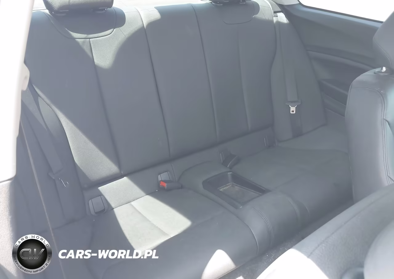 2015 BMW 228 VIN:WBA1F5C59FV257061 - 8