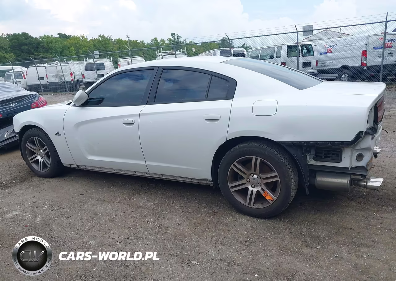 2014 Dodge Charger R-T VIN:2C3CDXCT3EH344719 - 14