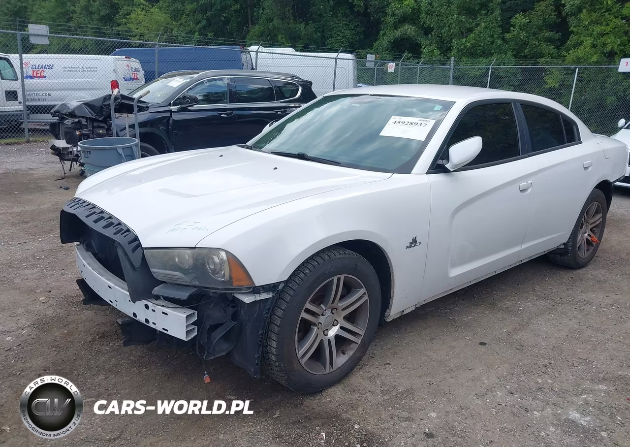2014 Dodge Charger R-T VIN:2C3CDXCT3EH344719 - 2