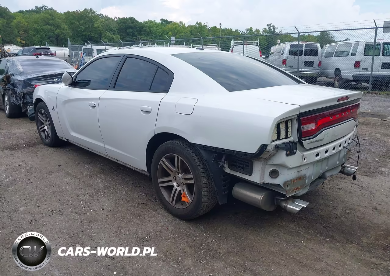 2014 Dodge Charger R-T VIN:2C3CDXCT3EH344719 - 3