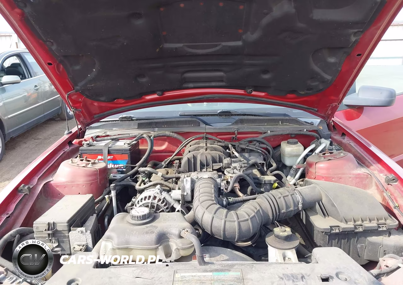 2008 Ford Mustang V6 Deluxe-V6 Premium VIN:1ZVHT80N585169625 - 10