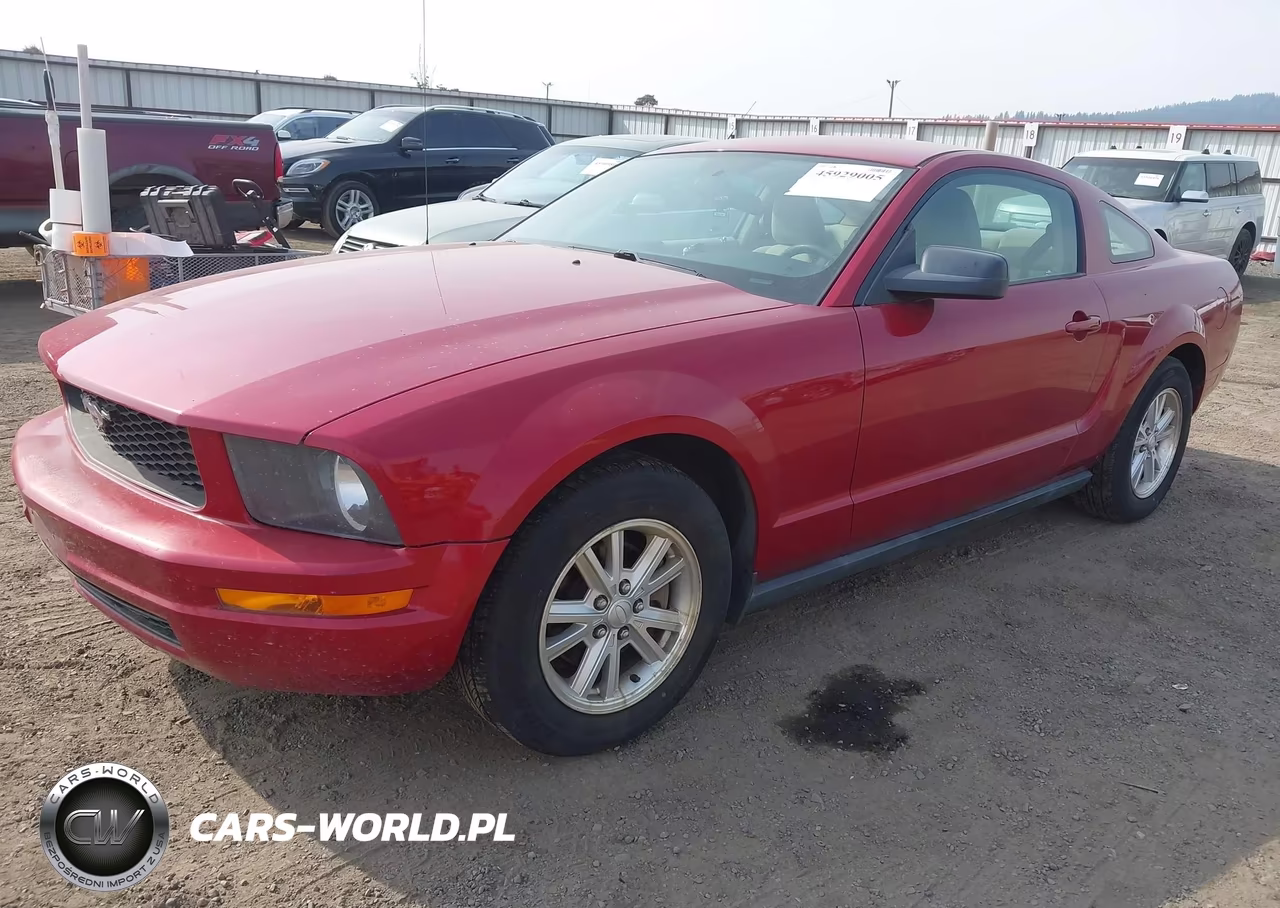 2008 Ford Mustang V6 Deluxe-V6 Premium VIN:1ZVHT80N585169625 - 2